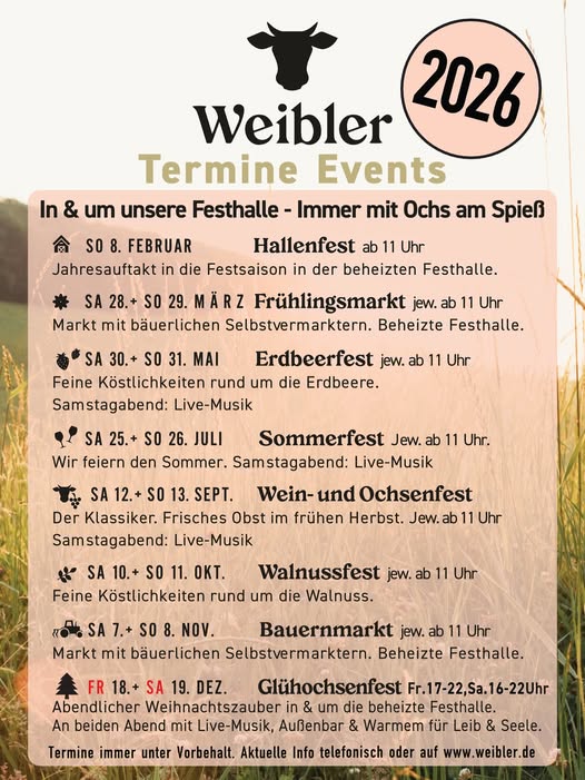 Kinderschminken Bretzfeld beim Sommerfest Weingut Weibler