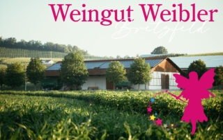 Kinderschminken Bretzfeld beim Sommerfest Weingut Weibler