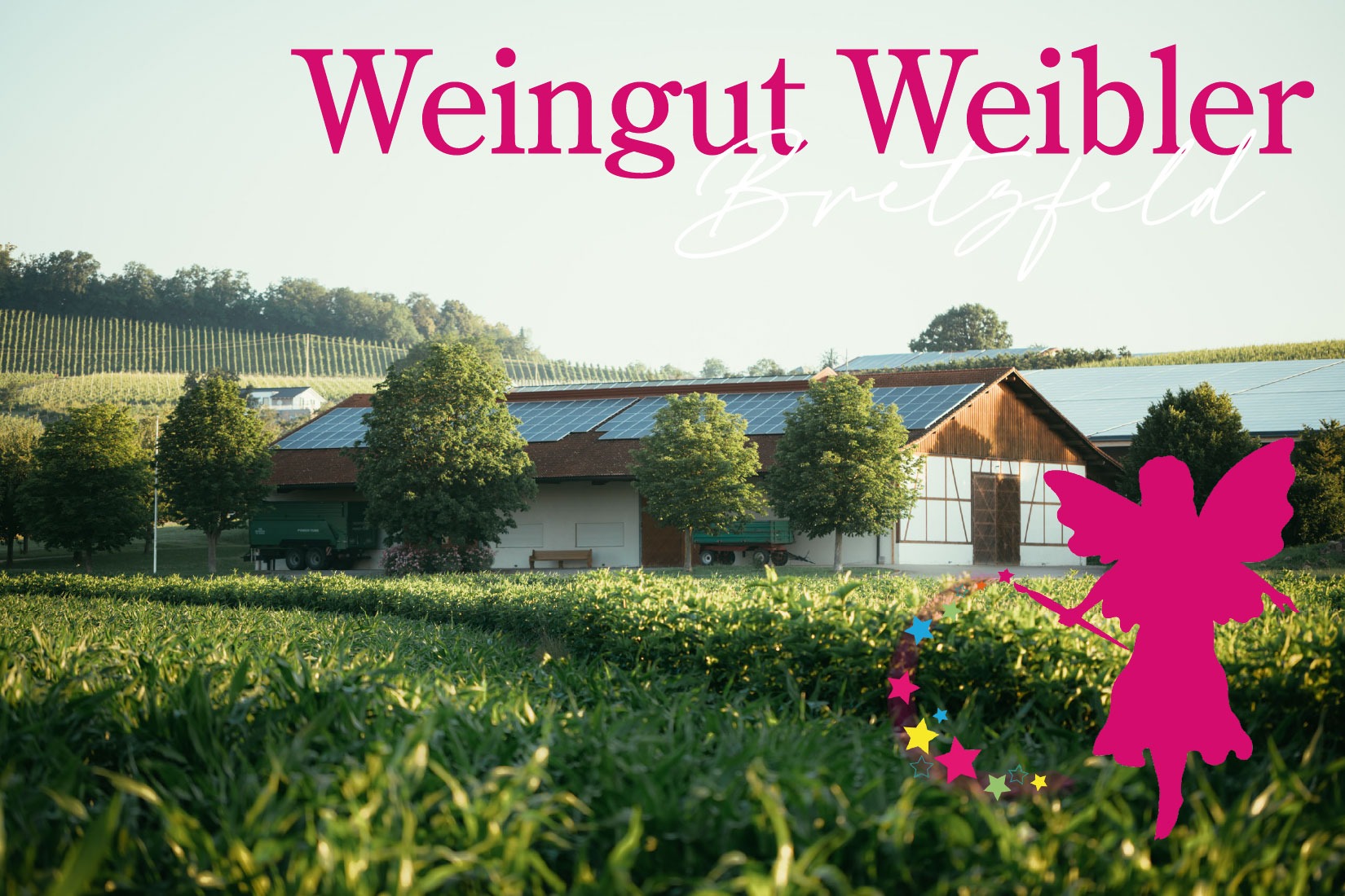 Kinderschminken Bretzfeld beim Sommerfest Weingut Weibler
